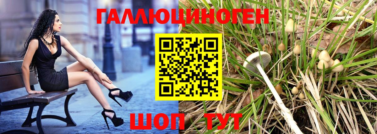 Медногорск  Псилоцибиновые грибы мицелий  где найти наркотики  Вход с VPN 